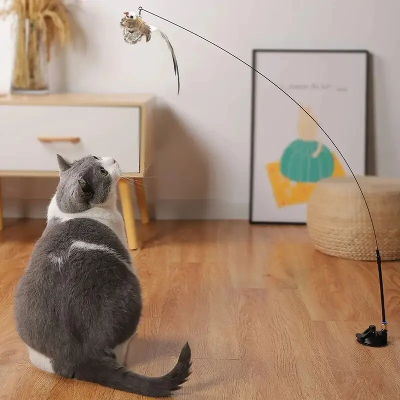 Feather Wand Cat Teaser