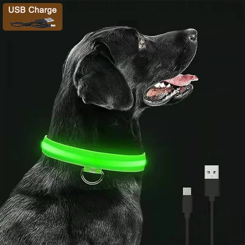 SafeGlow LED Collar
