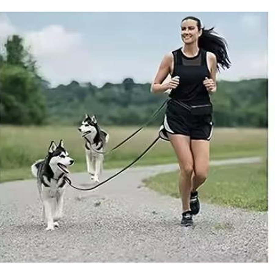 Retractable Pro Dog Leash